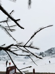 雪景
