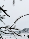 雪景