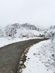 雪景