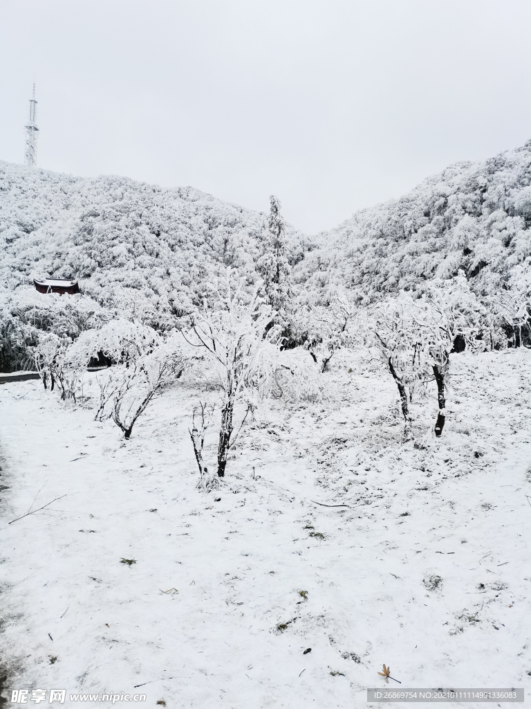 雪景