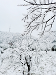 雪景