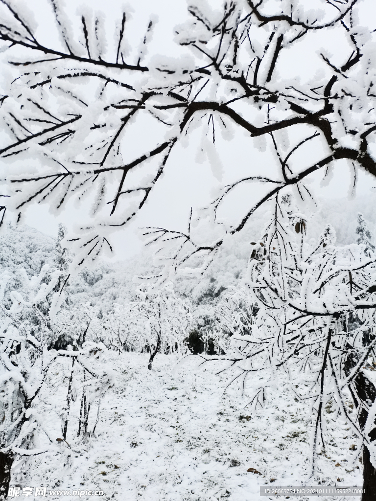 雪景