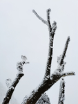 雪景