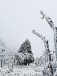 雪景