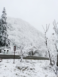 雪景