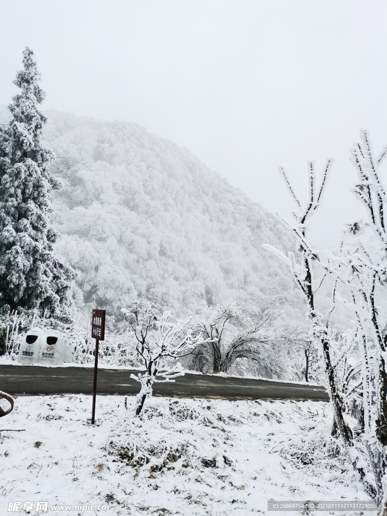 雪景