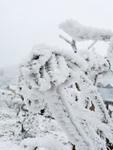 雪景