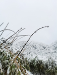 雪景