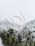雪景