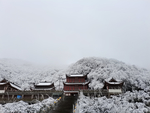 雪景