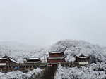 雪景