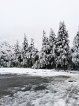 雪景