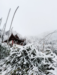 雪景