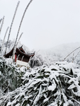 雪景