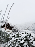 雪景
