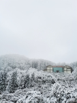 雪景