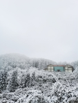 雪景