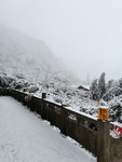 雪景