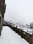 雪景