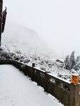 雪景