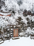 雪景