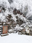雪景