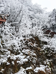雪景