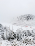 雪景