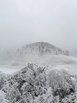 雪景