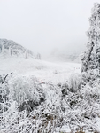 雪景