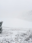 雪景