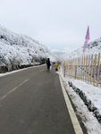雪景