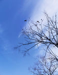 天空