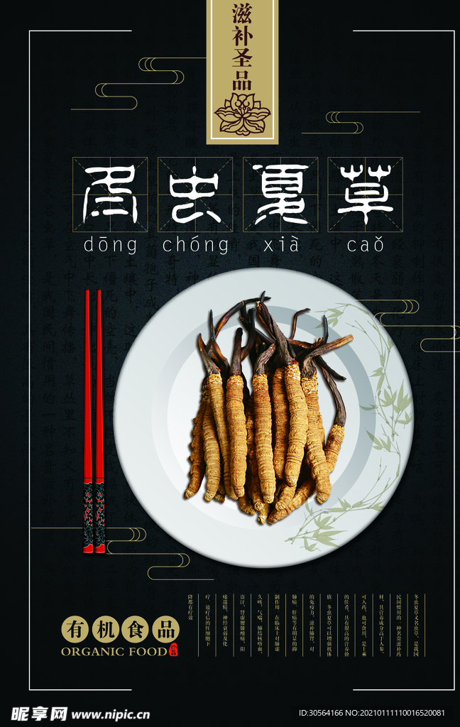 冬虫夏草中药活动宣传海报素材