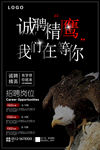 诚聘精英