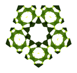 logo素材