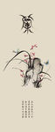 兰花