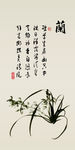 兰草