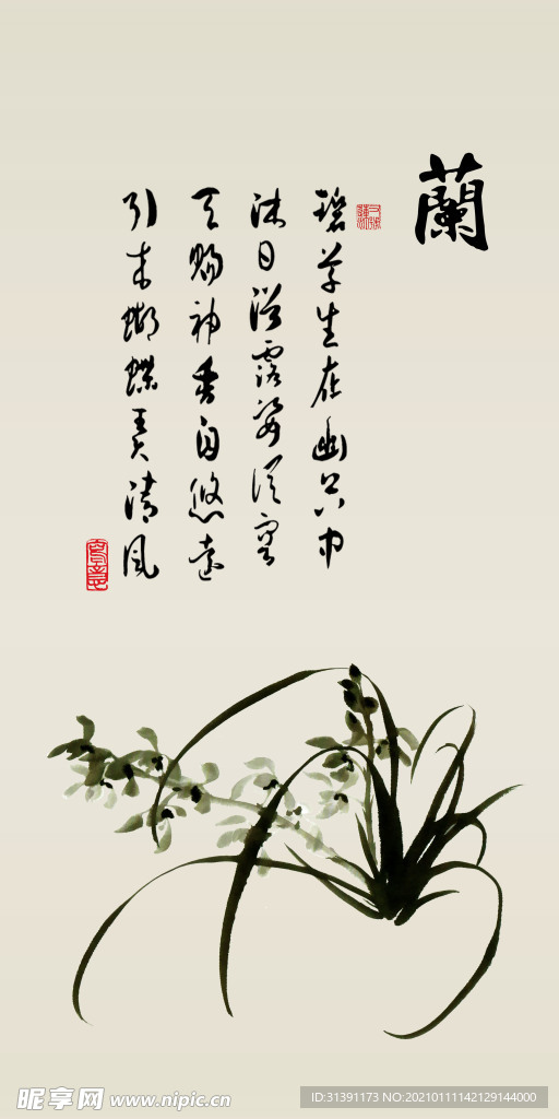 兰草