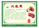 水果养生之火龙果