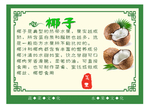 水果养生之椰子