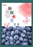 蓝莓海报