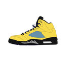 aj5 密歇根