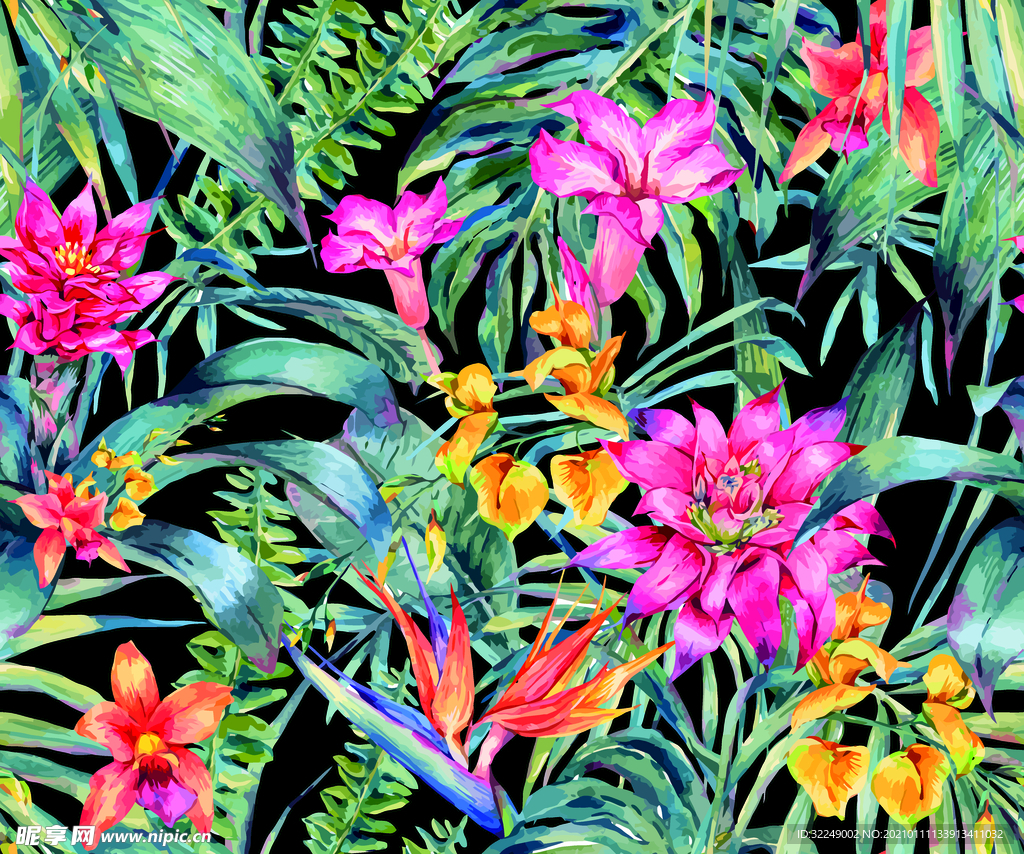 热带花卉