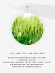 小满图片