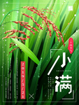 小满图片
