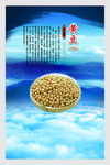 企业文化展板