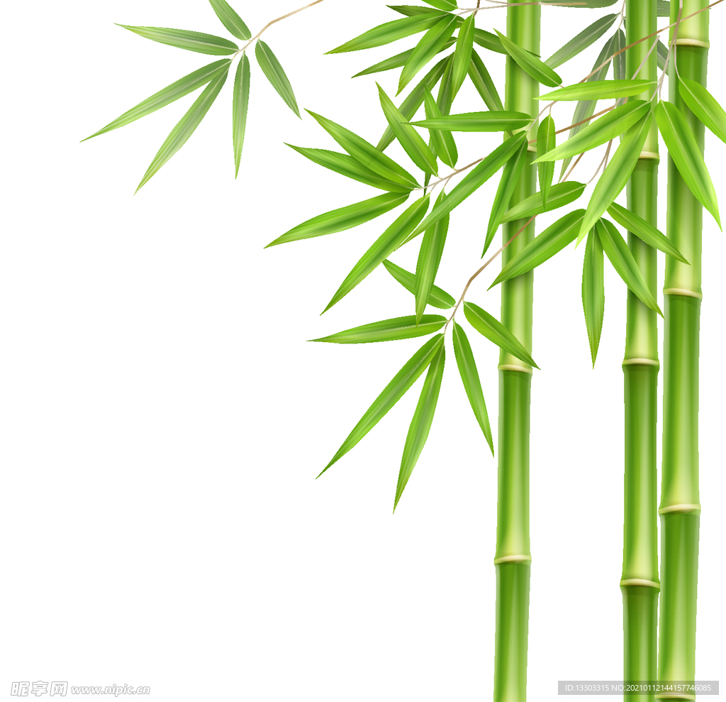 青竹矢量素材