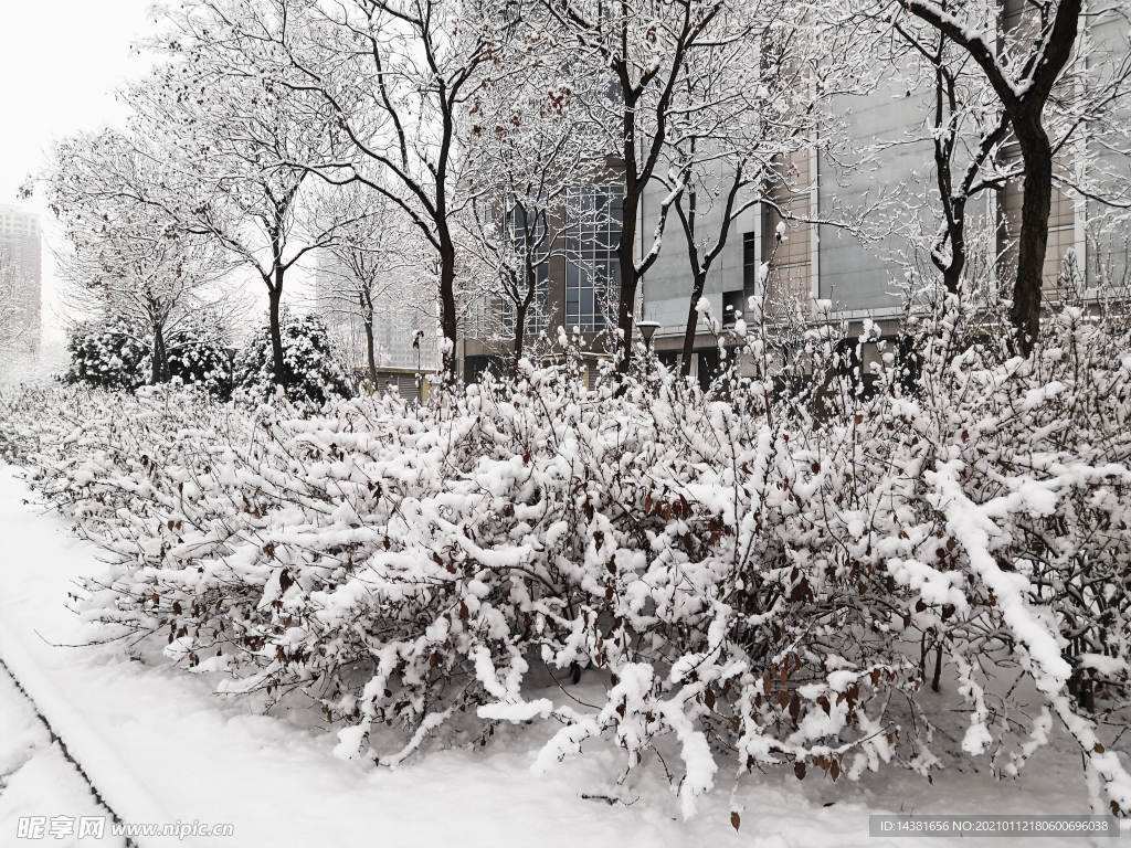 雪景