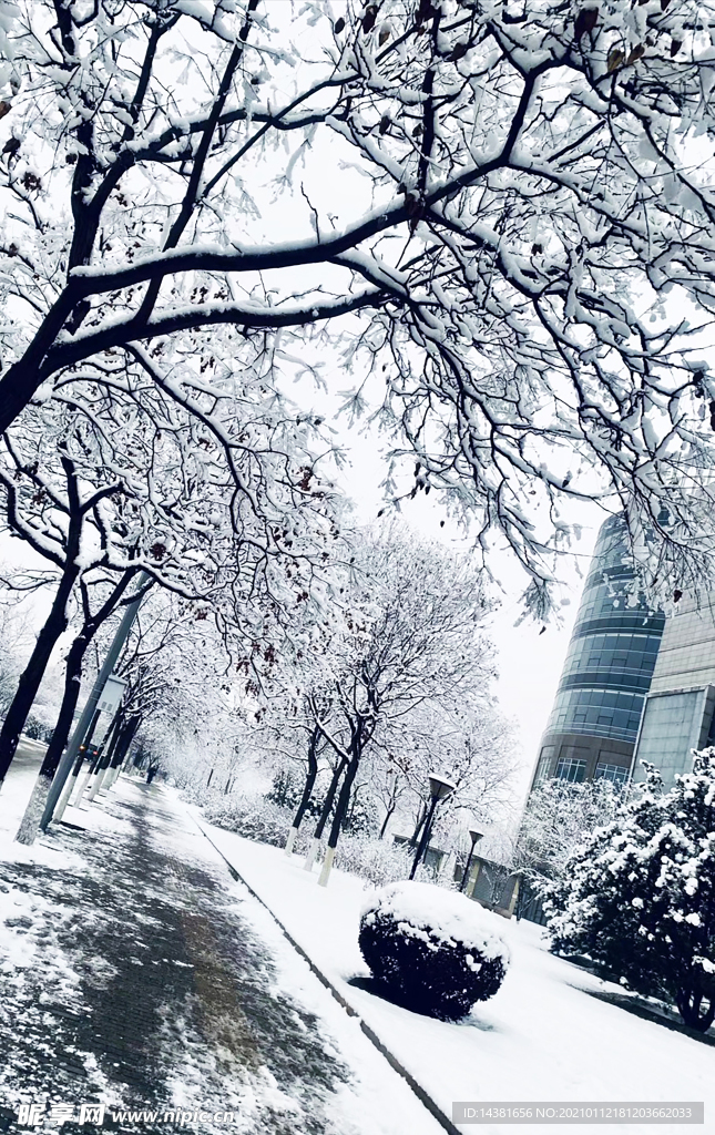 雪景